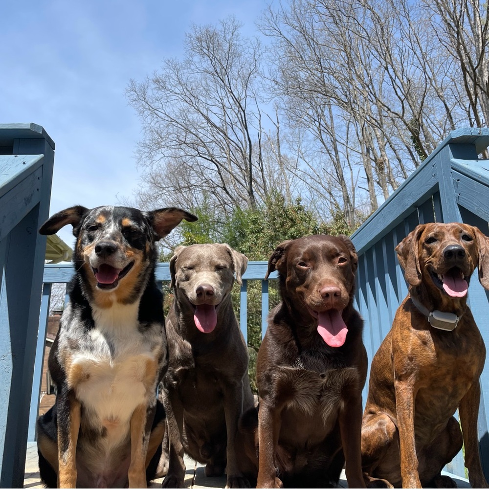 Meet your Posher, Jayla